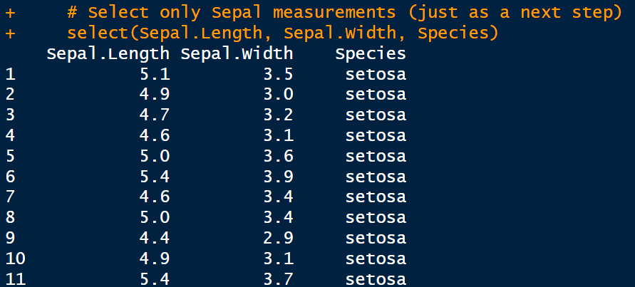 image showing the result of the assert package on the iris dataset